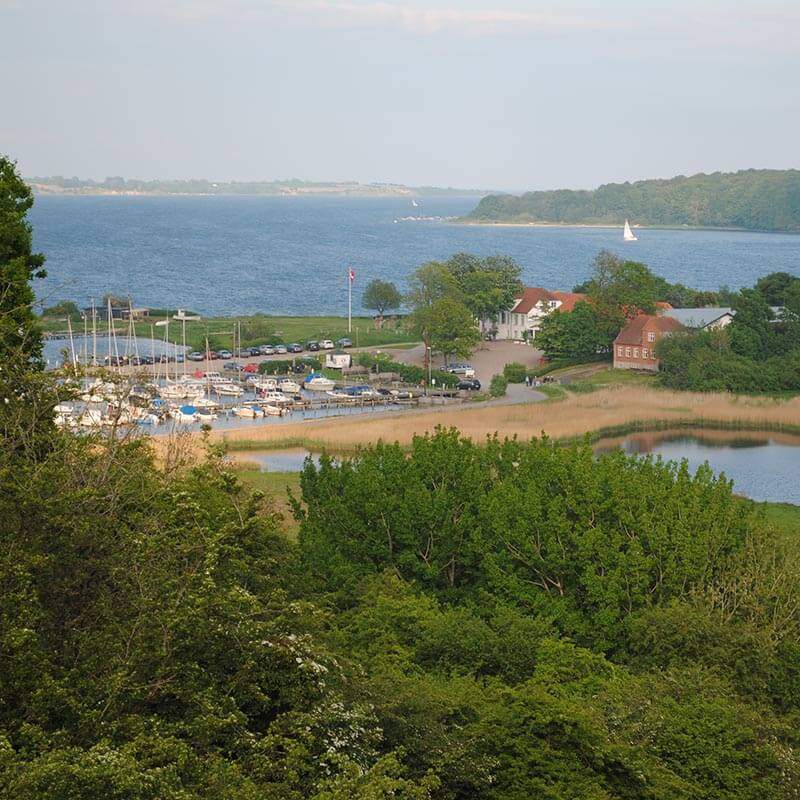 Smuk udsigt over kalvø - Natur omkring Genner Hoel Pandekagehus og Camping