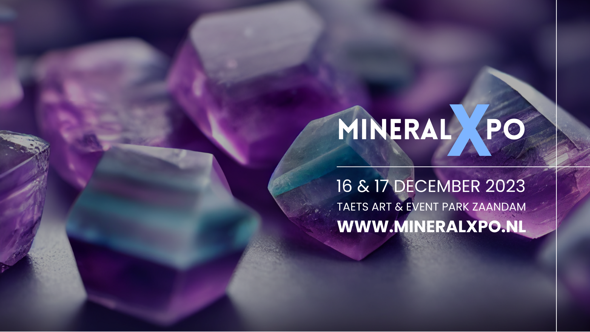 1e Mineralenbeurs MineralXpo Zaandam