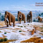 Eric Mulder: het uitsterven van de Pleistocene megafauna