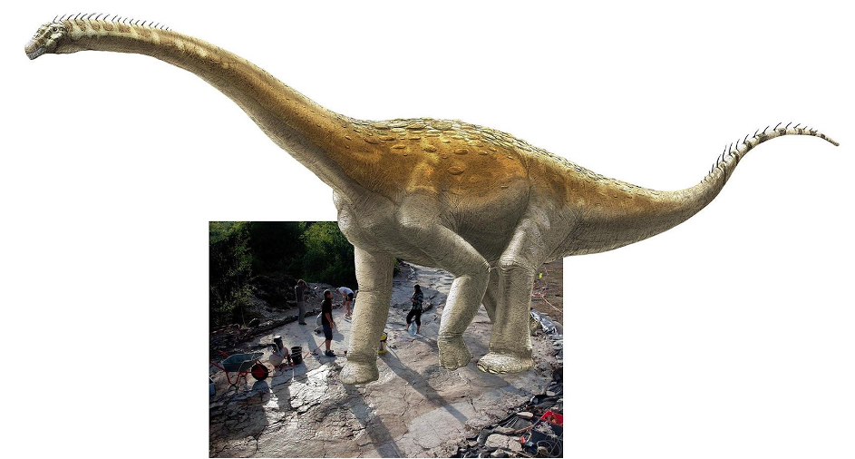 Etapa 13: Žabji kraki in dinozavrove noge?