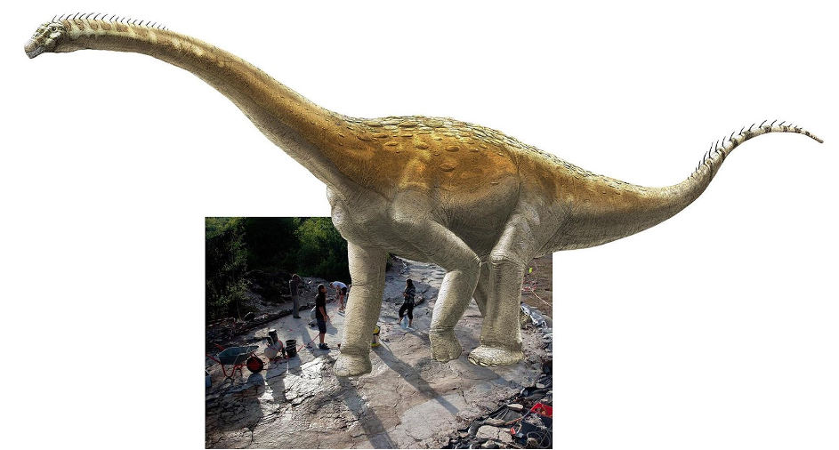 Froskebein og dinosaurføtter