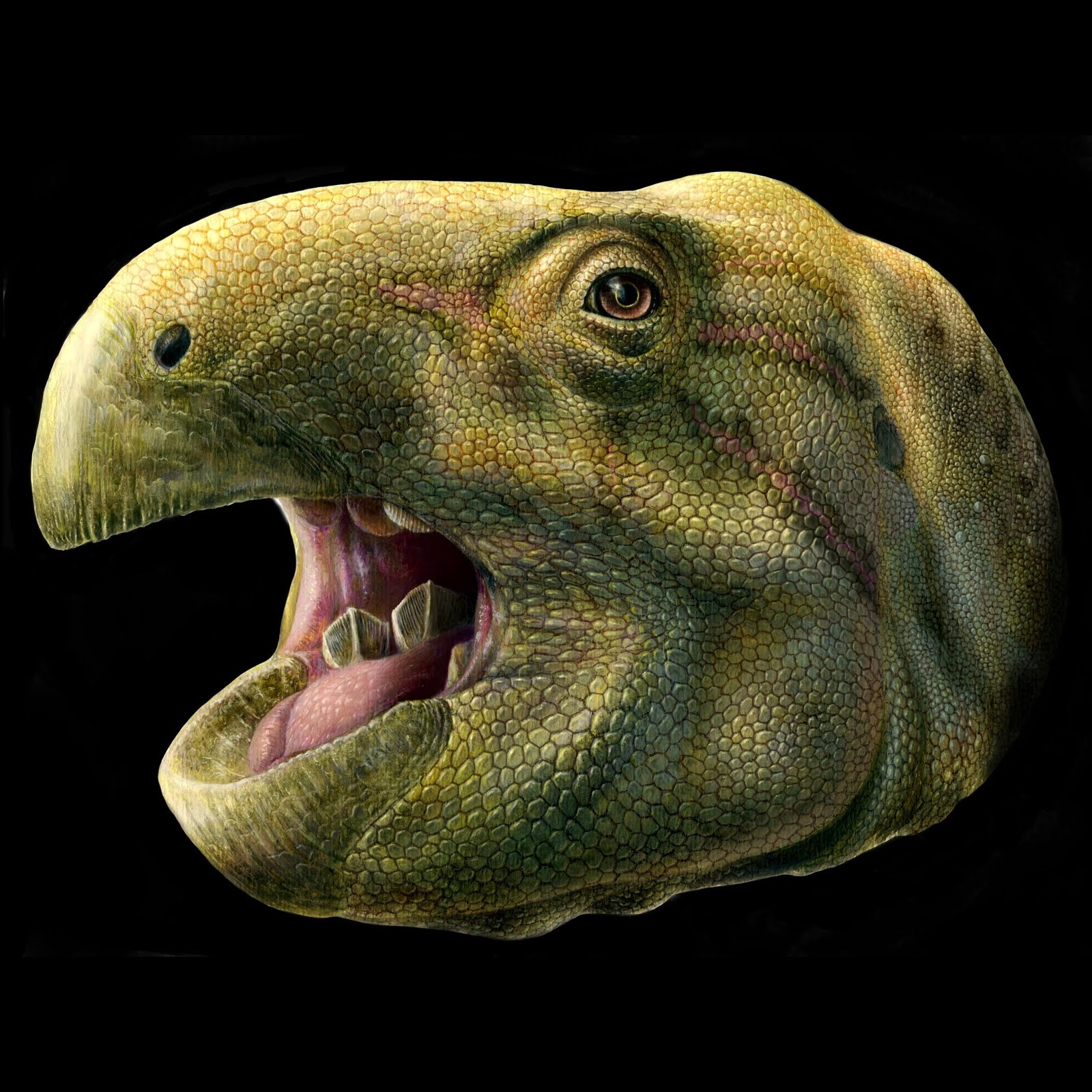 Etappe 16: Dinosaurusparadijs