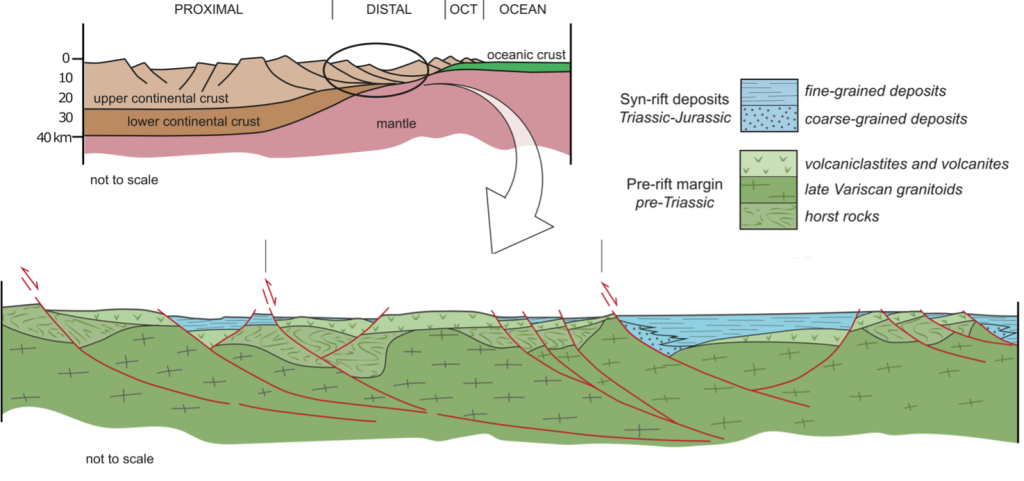 Continental 8 rosa top