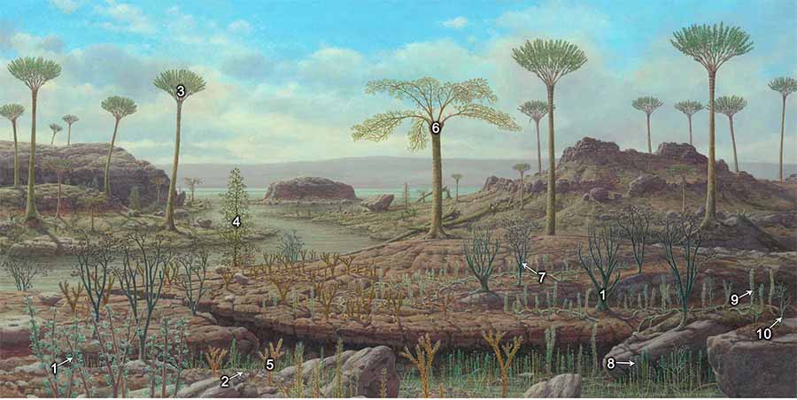 devonian period environment