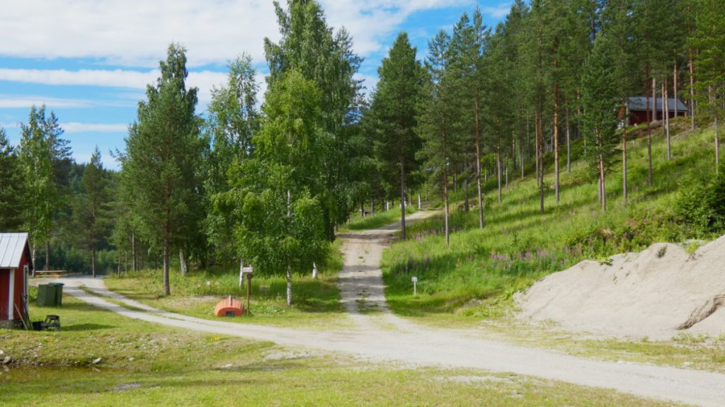 Indalsälvens strandkant i Döviken. Foto: Katarina Söderlund.