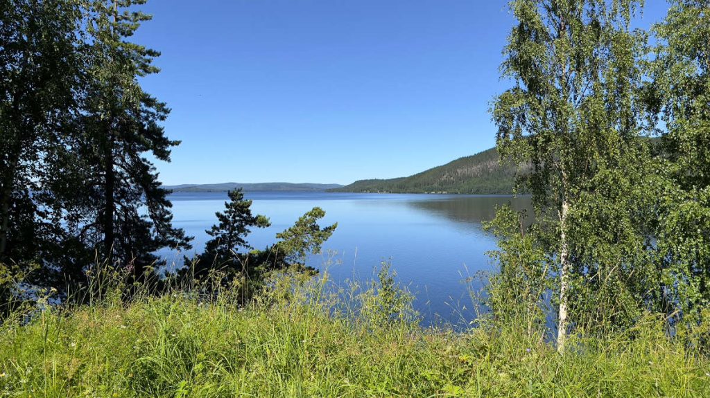 Vy över gränslandet mellan den äldre berggrunden i väster och yngre magmakammare i öster. Foto: Peter Ladan.