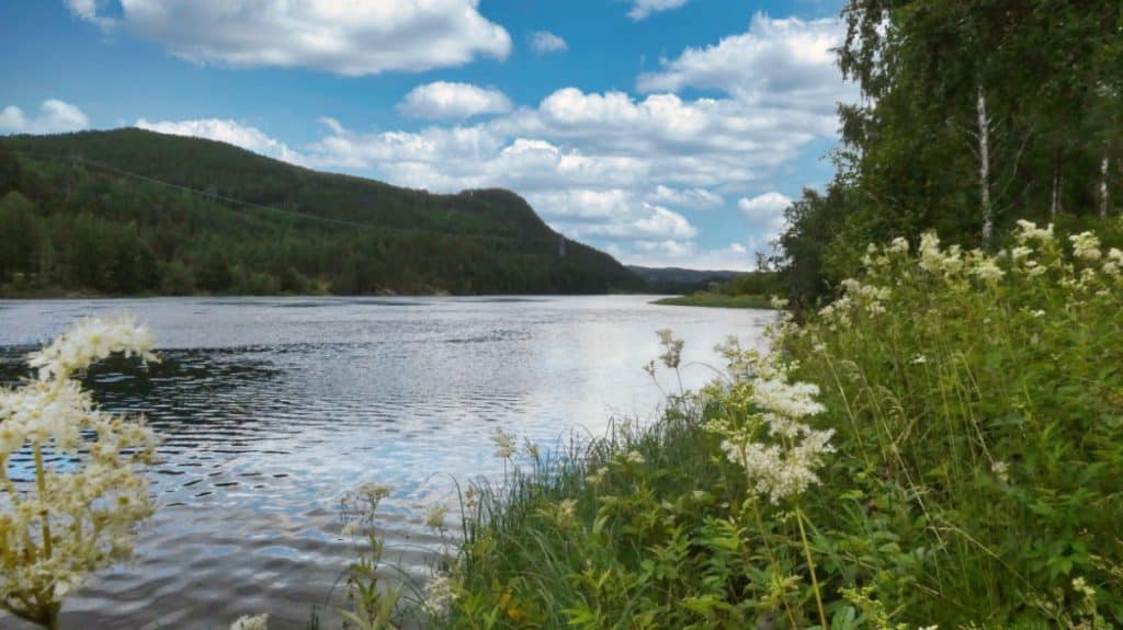 Utsikt över Indalsälven från Lillkvarnbäcken. Foto: Katarina Söderlund. 