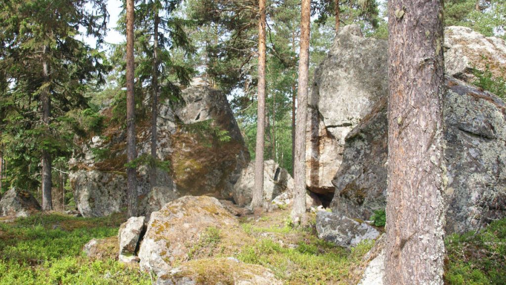 Jättelika stenblock i skogsparti vid Nornan. Foto: William Sigurdsson.