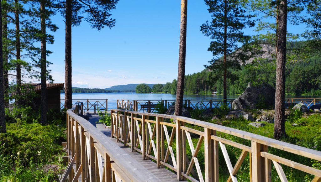 Träramp som leder fram till Indalsälven. Foto: Peter Ladan.