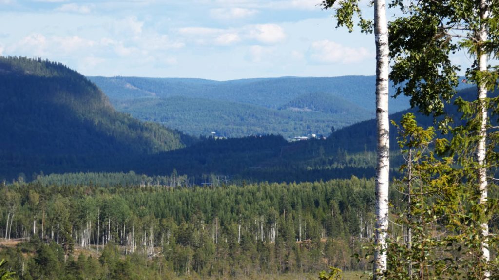Utsikt över Ragundas bergkullandskap från Böle-Hoo utsiktsplats. Foto: Katarina Söderlund.