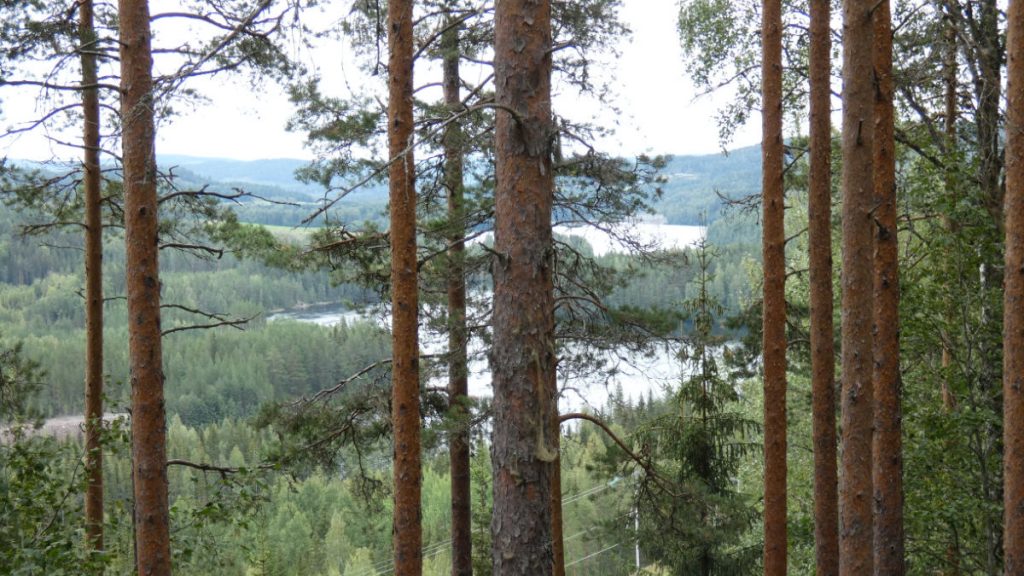 Utsikt över Indalsälven från åsryggen Getryggen. Foto: Katarina Söderlund.