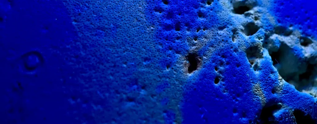 afbeelding asfalt microscopie
