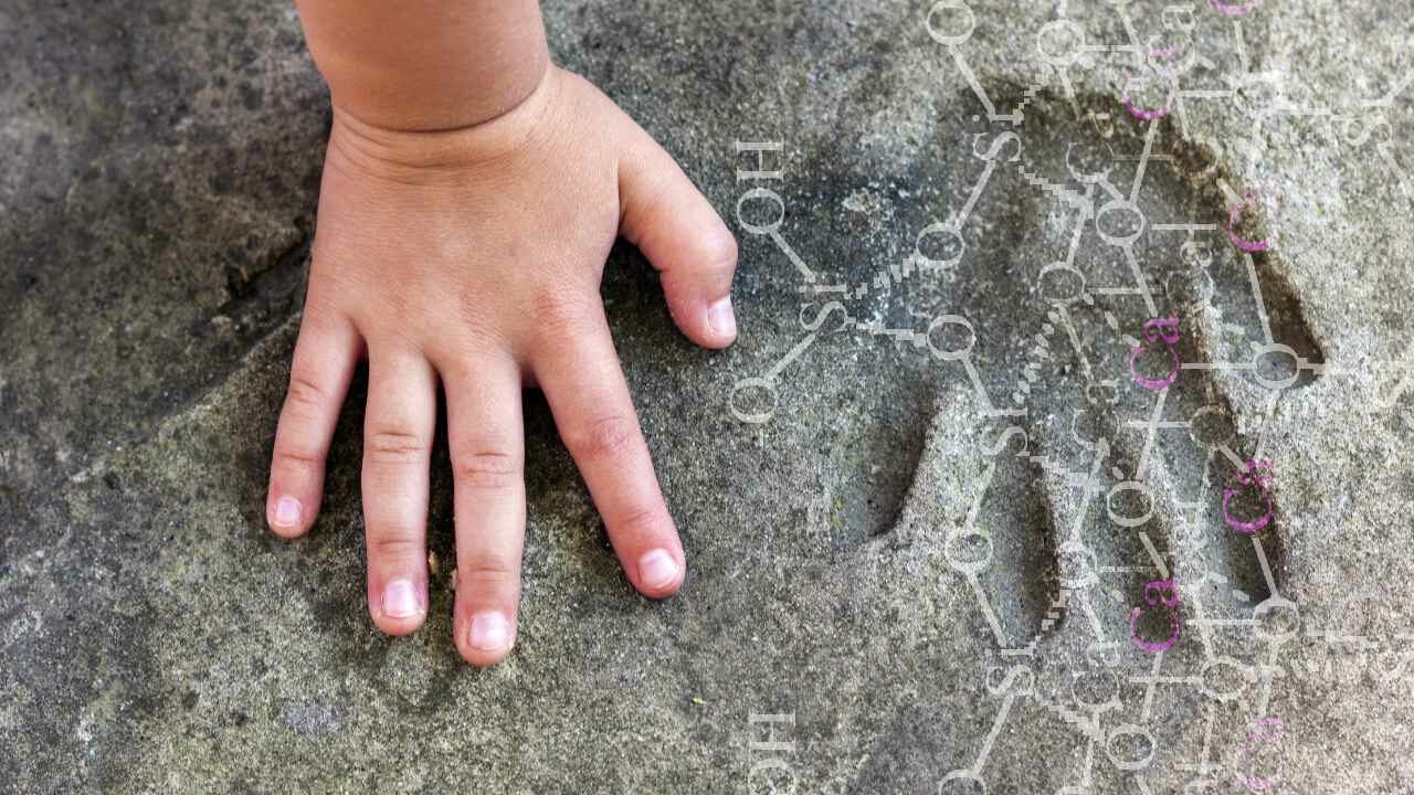 Main d'enfant comme symbol du empreinte carbone dans notre future