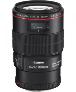 Canon100mmMacro-247x300