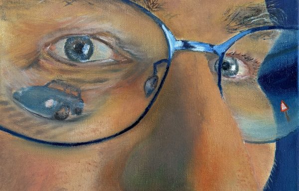 De Kever in mijn oog