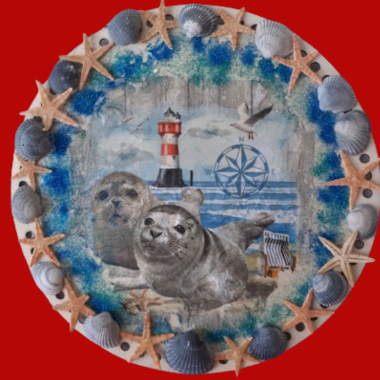 Seehund Bilder mit Leuchtturm - Blaue echte Muscheln & Seesterne
