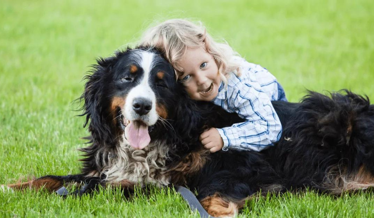 Kind mit Berner Sennenhund