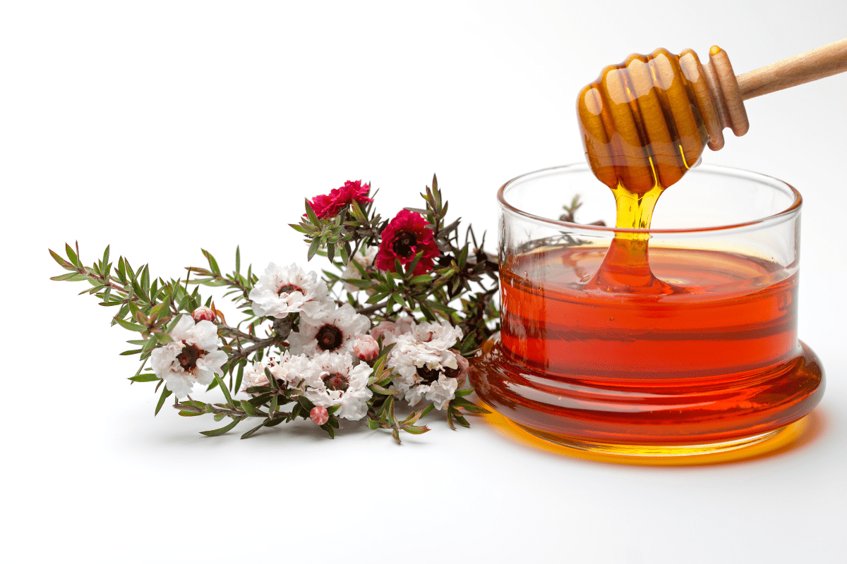 Manuka Honig in Schale mit Honiglöffel zum Entnehmen und Manuka Blüten