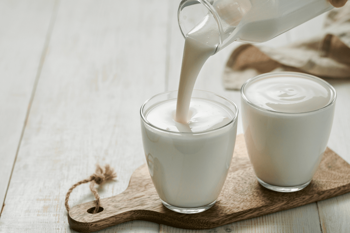 Joghurt und Kefir im Glas Bakterien 