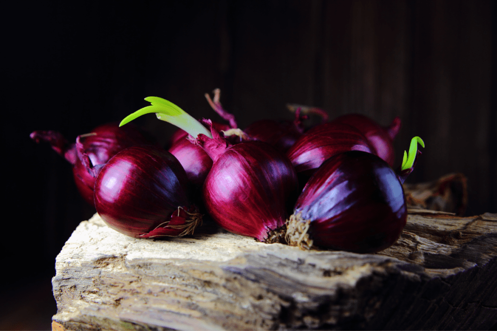 Rote Zwiebeln auf Stein