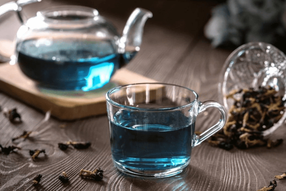 Blauer Tee in Glaskanne