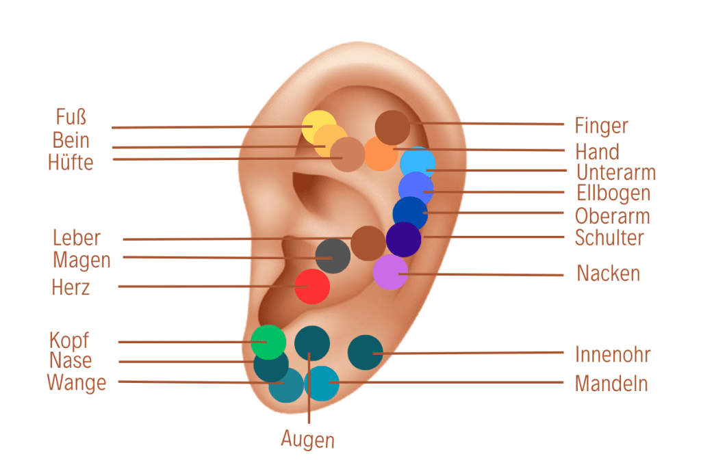 Bereiche zur Ohrmassage gegen Angst, Schmerzen und Schlafprobleme