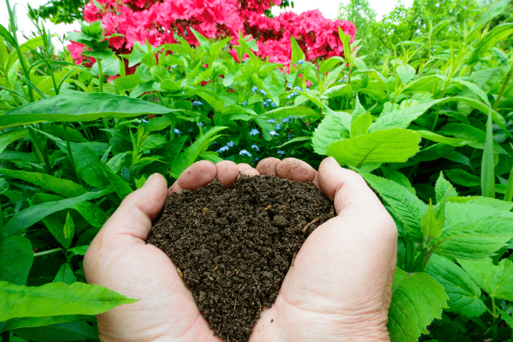 Kompost ist einer der besten Dünger im Garten