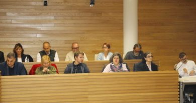 6 personas con discapacidad participarán como concejales en el Pleno