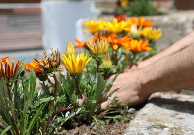 Getafe proyecta la renaturalización del patio del CEIP Daoiz y Velarde