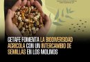 Getafe fomenta la biodiversidad agrícola con un intercambio de semillas en Los Molinos