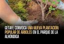 Getafe convoca una nueva plantación popular de árboles en el Parque de la Alhóndiga