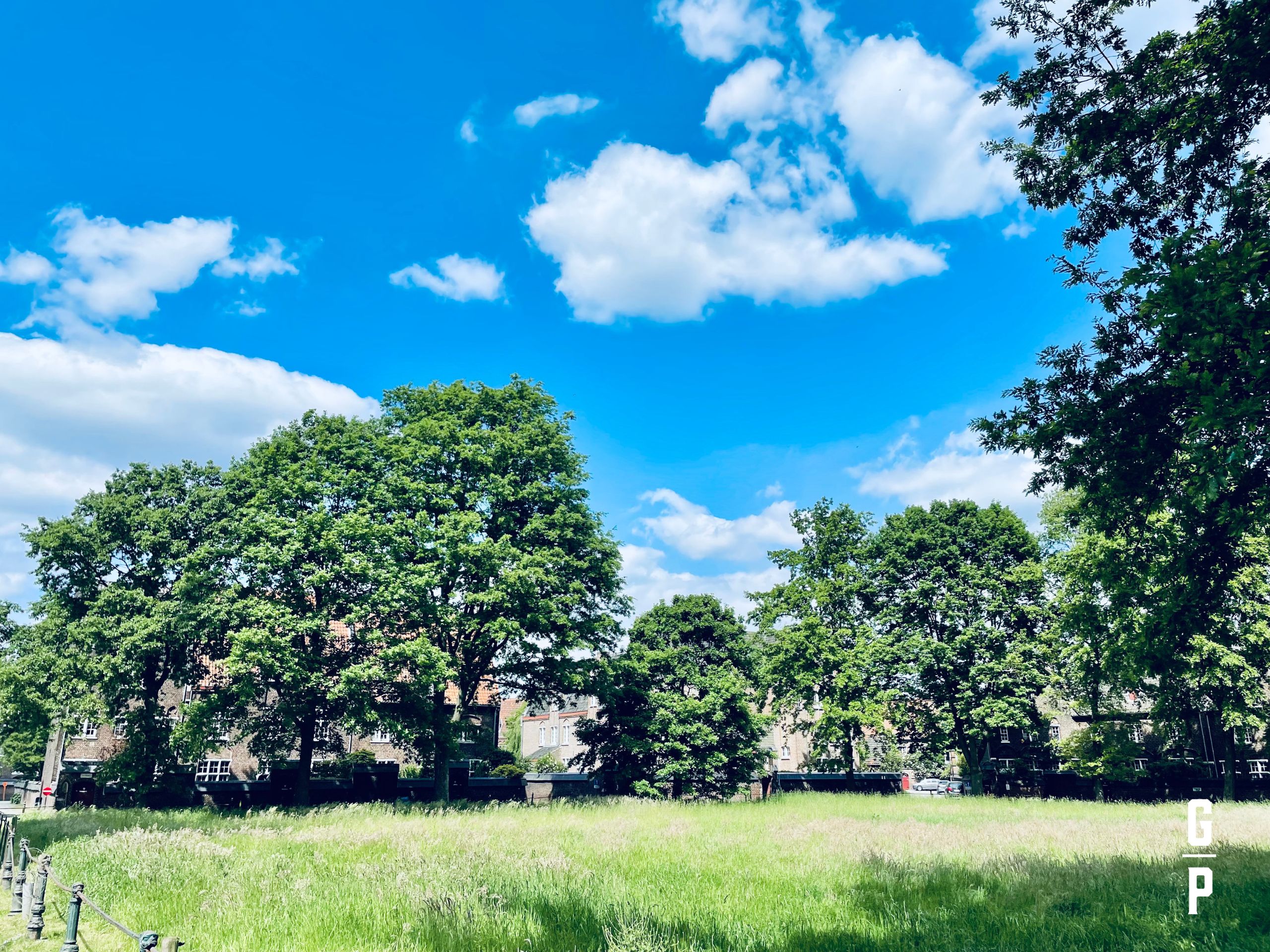 Nature at its best! 24/05/2023 - 15u49