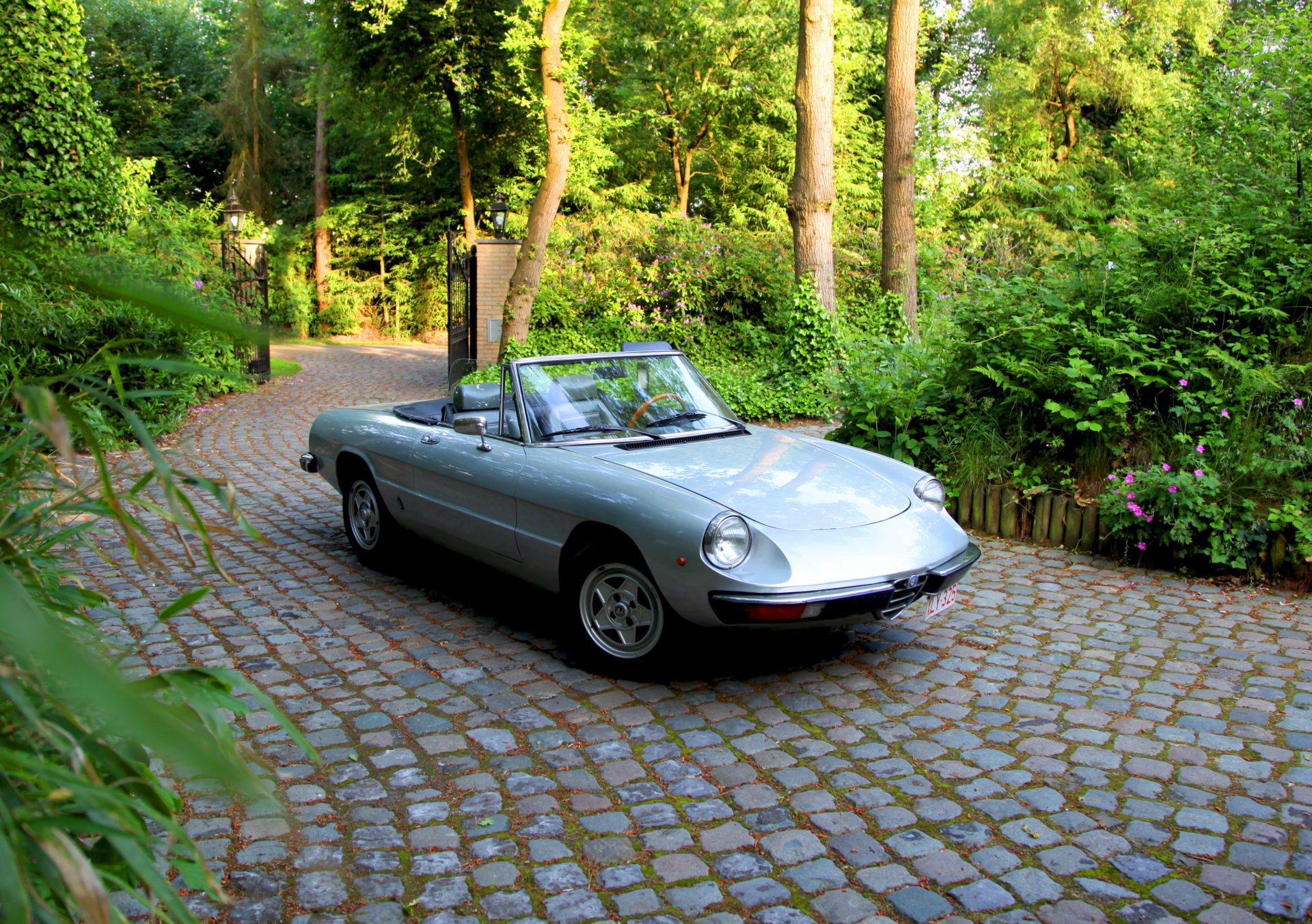 Alfa Romeo Spider - Coda Tronca