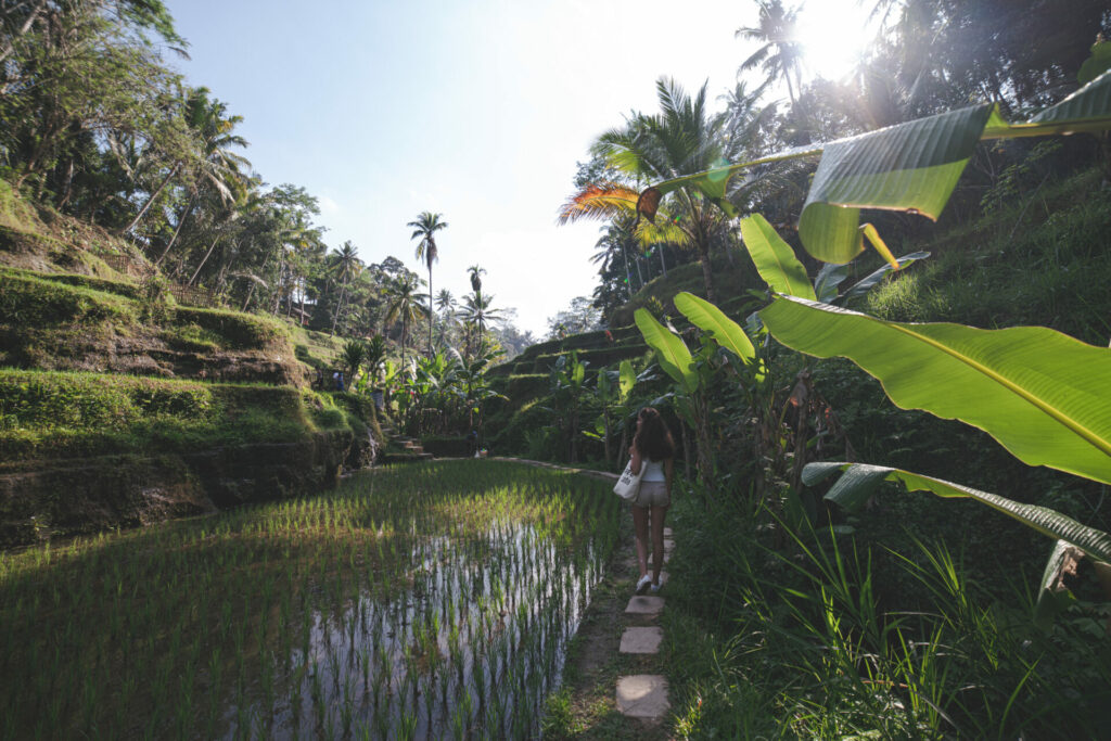 Landschapsfotografie - groothoeklens voorbeeld - Ubud Bali
