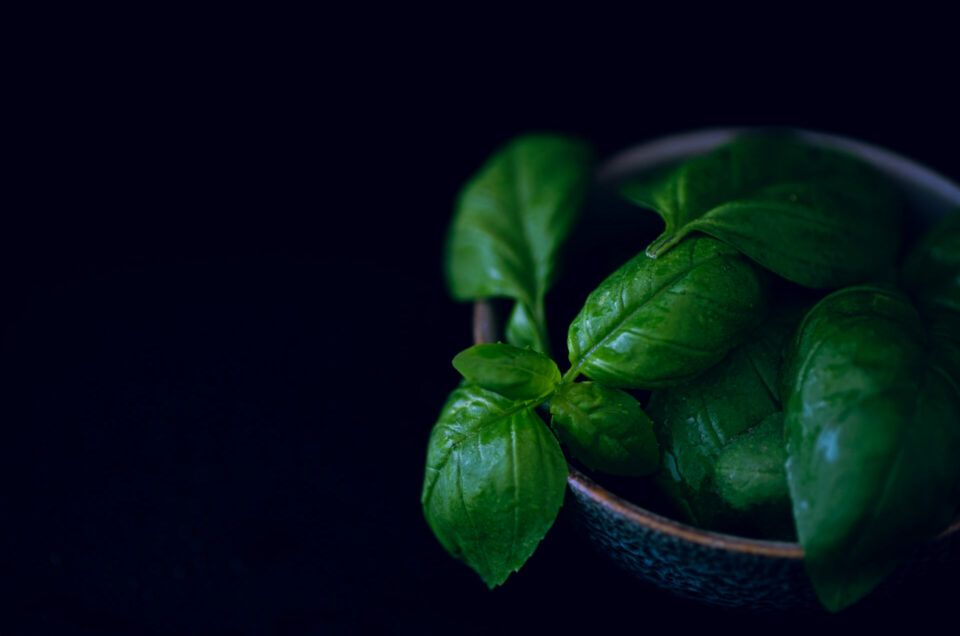 Impact van diafragma bij food fotografie uitgelegd