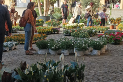 Giardini&Terrazzi Lugo aprile 2024