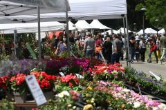 GIARDINI E TERRAZZI  AI GIARDINI MARGHERITA