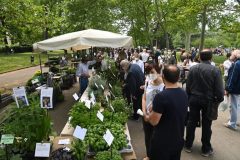 GIARDINI E TERRAZZI  AI GIARDINI MARGHERITA