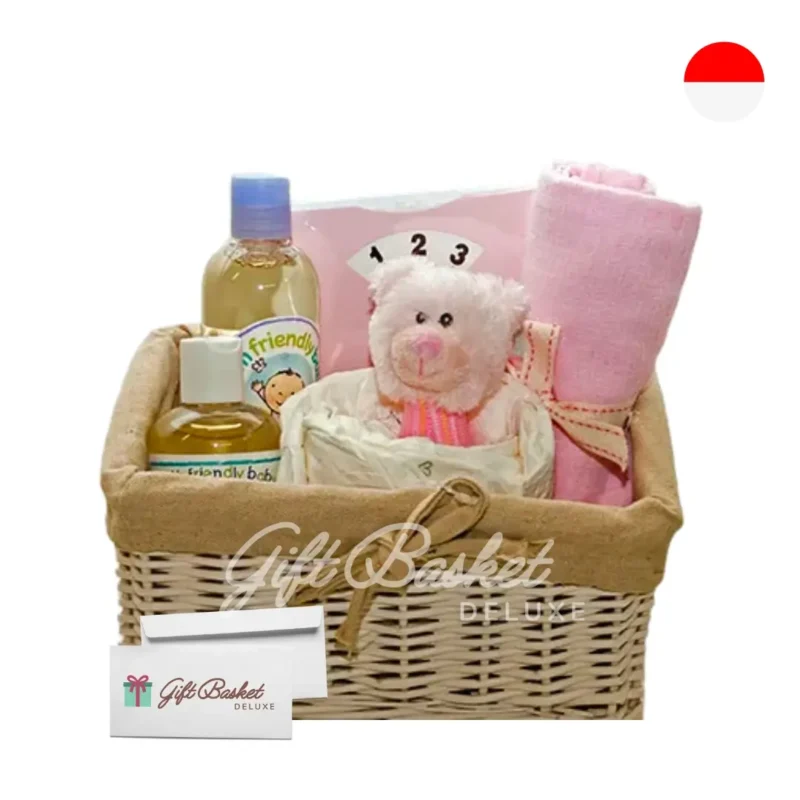 baby gift set for baby girl