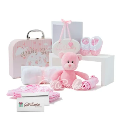 Baby Girl Gift Basket