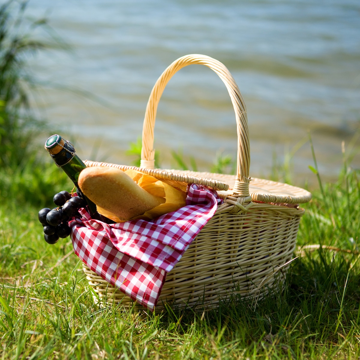 Picnickurv i Nordsjælland