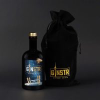 GINSTR - Space Edition + Gavepose