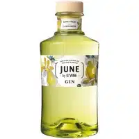 June by G'vine - Pear & Cardamom - 37,5% - 70cl - Fransk Gin