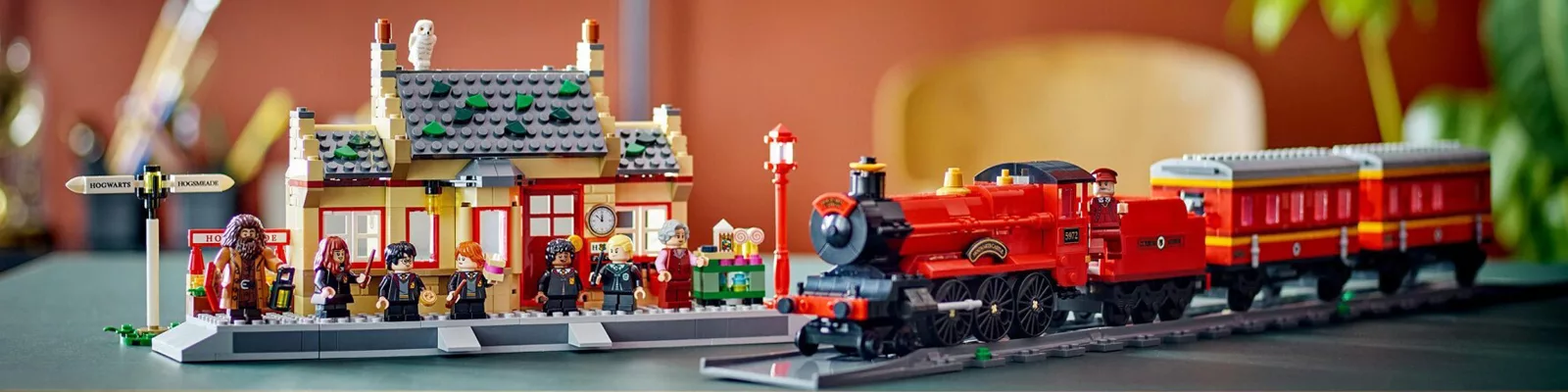 LEGO Hogwarts Express e Stazione (76423)