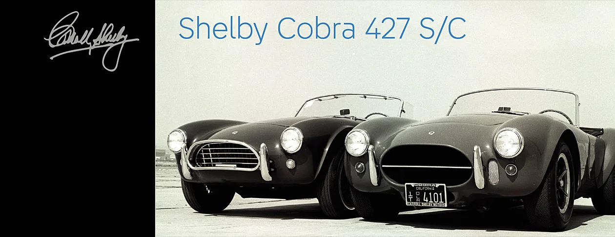 LEGO Shelby Cobra 427 S/C (10357) - Giochi di Fabry LEGO Shelby Cobra 427 S/C (10357)