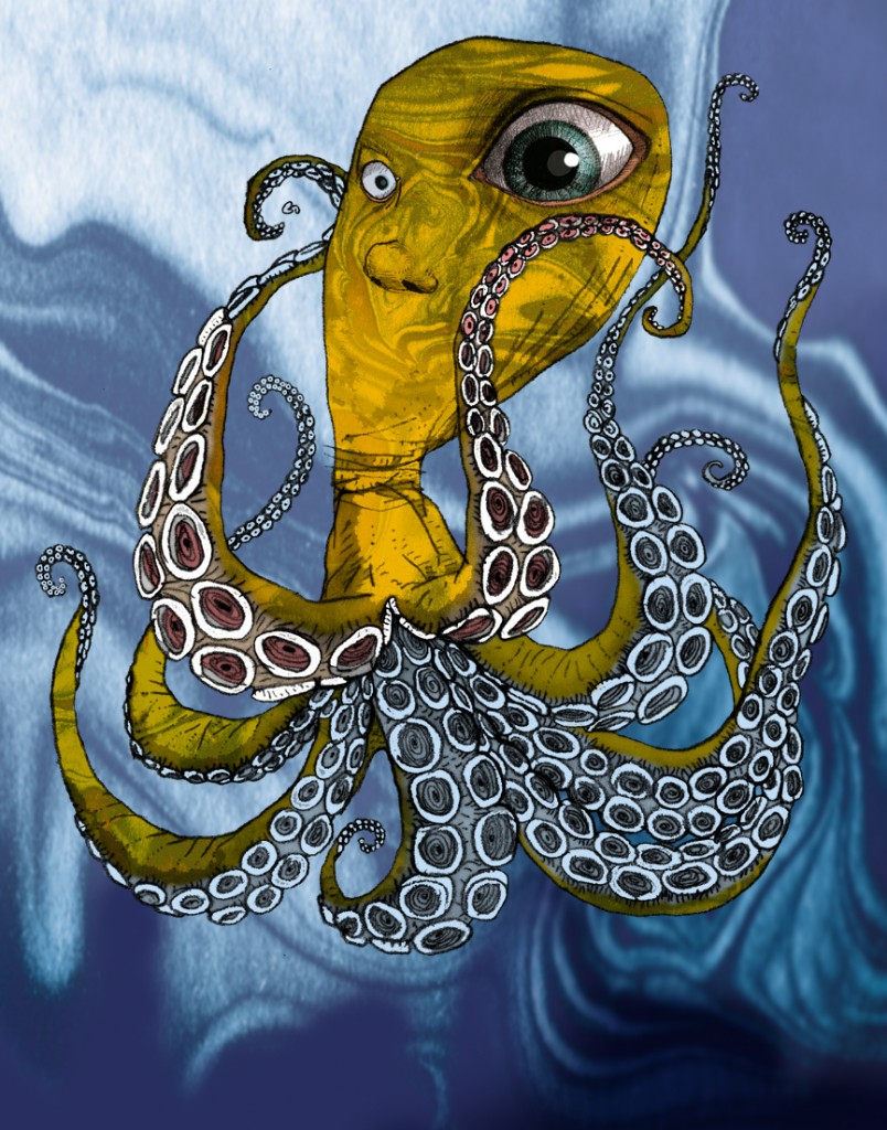 squid, octopus