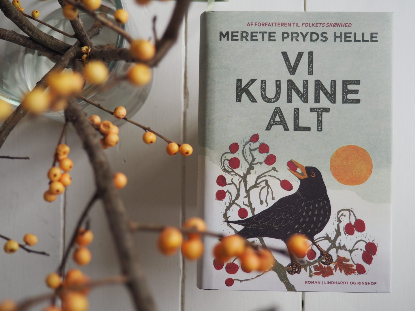 “Vi kunne alt” Barsk og velskrevet roman af Merete Pryds Helle