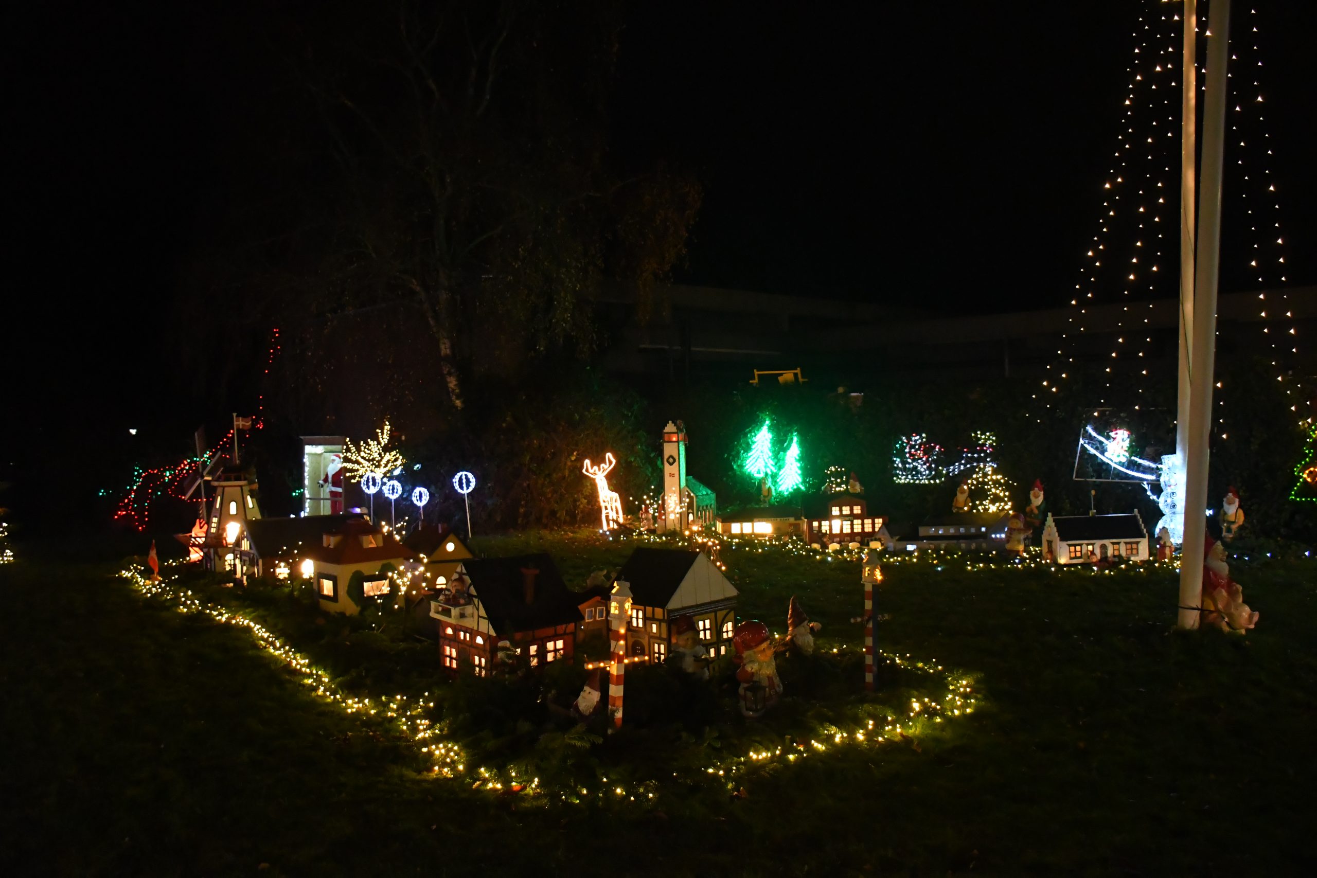 DSC_8140