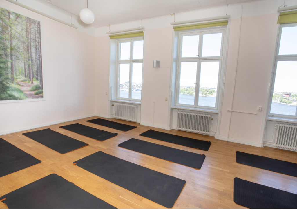 Meditation Stockholm Thich Nhat Hanh