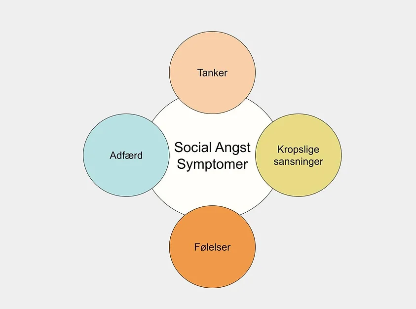 Social angst symptomer 2